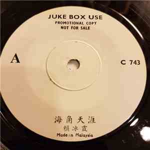 賴冰霞 / 余天 - 海角天涯 / 從心中走過