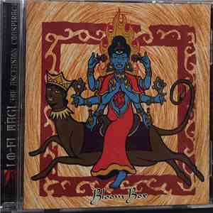 Bloom Box - Lo-Fi Magi...The Ascension Conspiracy download free