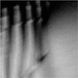 Coppice Halifax - Elterigitaj download free