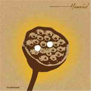 Hummmel - Fruchtstand download free
