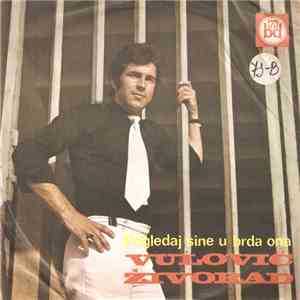 Živorad Vulović - Pogledaj Sine U Brda Ona download free