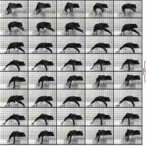 Joris Van De Moortel - BATS PATS BOEM PING download free