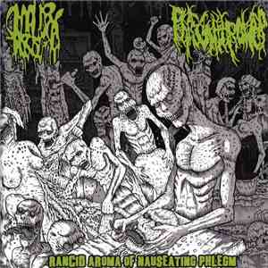 Smallpox Aroma / Phlegm Thrower - Rancid Aroma Of Nauseating Phlegm download free