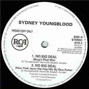 Sydney Youngblood - No Big Deal download free
