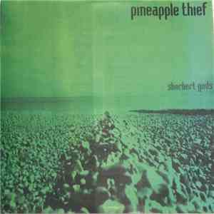 The Pineapple Thief - Sherbert Gods download free