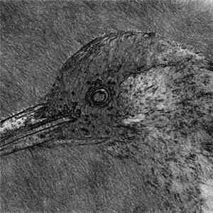 Weedpecker - Demo download free