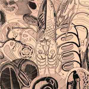 Yuko x Chino - Sovereign Plumed Serpent download free